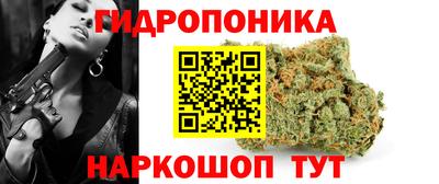 крисы Рузаевка