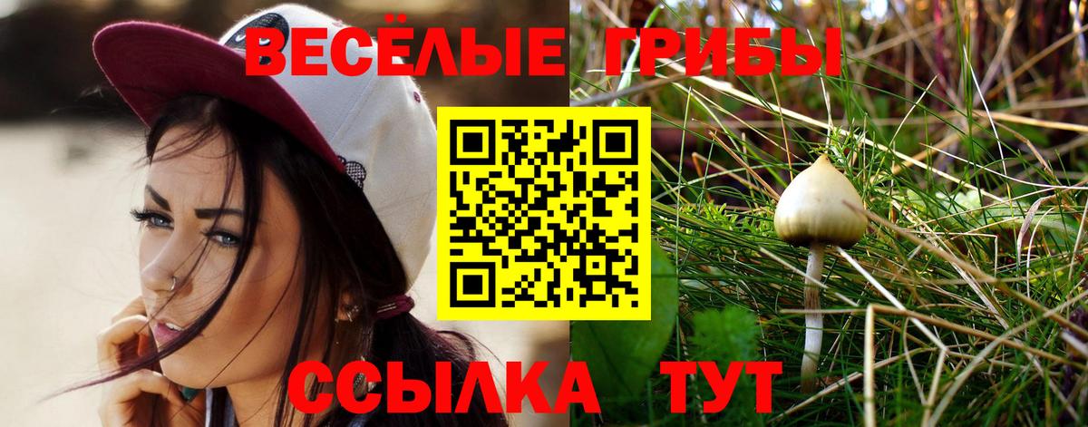 Псилоцибиновые грибы Psilocybe  Вход с VPN  Приморско-Ахтарск  Галлюциногенные грибы Cubensis 