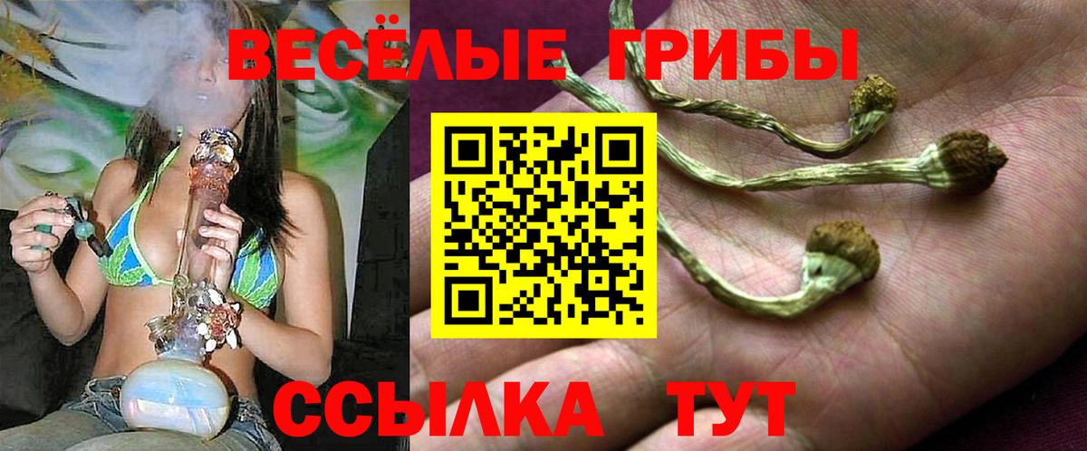 Псилоцибиновые грибы мицелий Приморско-Ахтарск